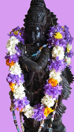 Vanamali Krishna